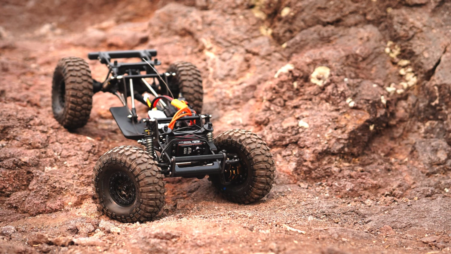 Team Brood Sales Store -Team Brood Sales Store 2