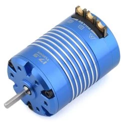 Team Brood Eradicator 2 Pole Sensored 540 Brushless Motor (2200Kv)